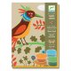 Oiseaux de paradis - Sables colorés Djeco - coffret