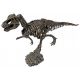 kit d'archéologue - Dinosaure - le tyrannosaure