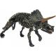 kit d'archéologue - Tricératops 