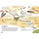 Les inventions de Léonard de Vinci - Les machines volantes - Livre détail 3