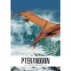 Le ptéranodon 3D - Livre + maquettes