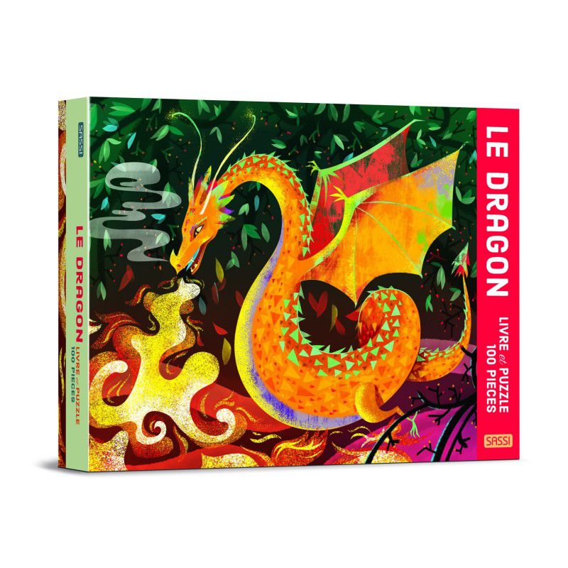 Puzzle enfant 5 ans Djeco Vaillant et le dragon 54 pièces boîte silhouette  puzzle histoire